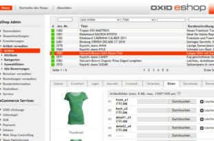 OXID eShop – für einen erfolgreichen Online Shop  